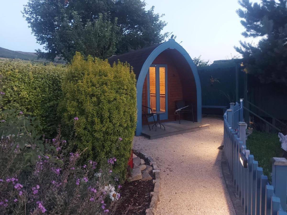 Glamping In The 2Nd Field Hotel Aughrim Exterior photo